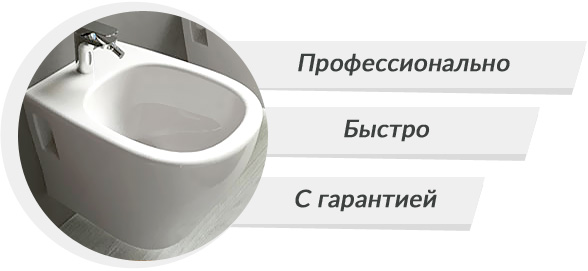 bide.jpg bide.jpg